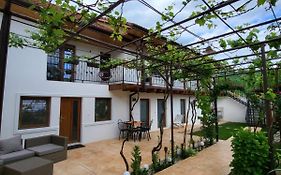 Casa Din Sat